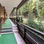Terrassenpark Schonach App 161 *