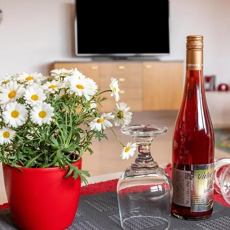 Terrassenpark Schonach App 161 *