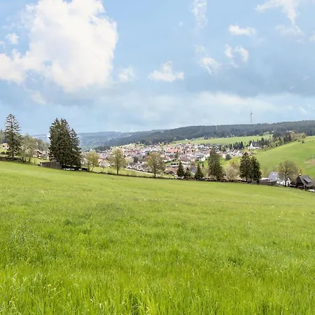 Terrassenpark Schonach App 161 Schonach im Schwarzwald